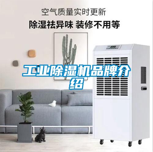工業91看片网站视频機品牌介紹