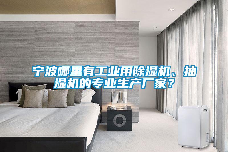寧波哪裏有工業用91看片网站视频機、抽濕機的專業生產廠家？