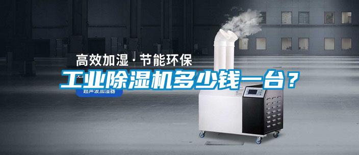 工業91看片网站视频機多少錢一台？