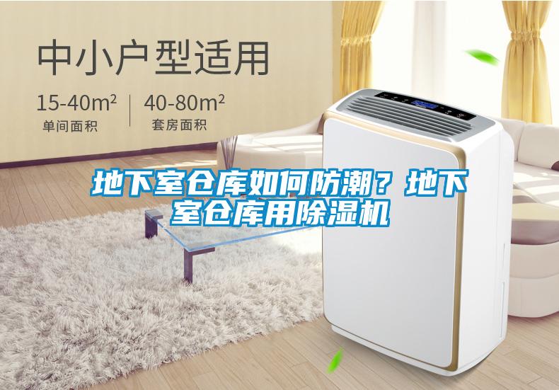 地下室倉庫如何防潮？地下室倉庫用91看片网站视频機