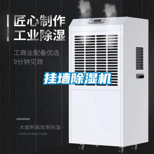 掛牆91看片网站视频機