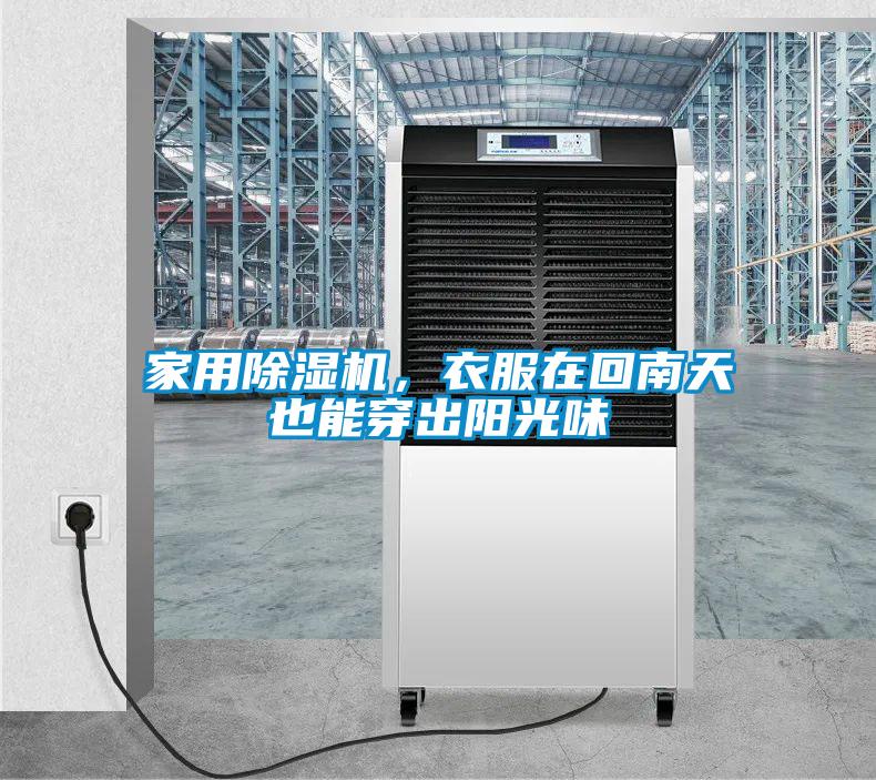 家用91看片网站视频機，衣服在回南天也能穿出陽光味