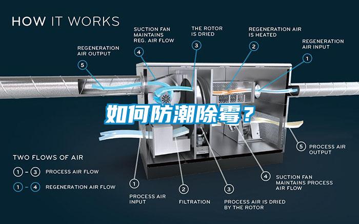 如何防潮除黴？