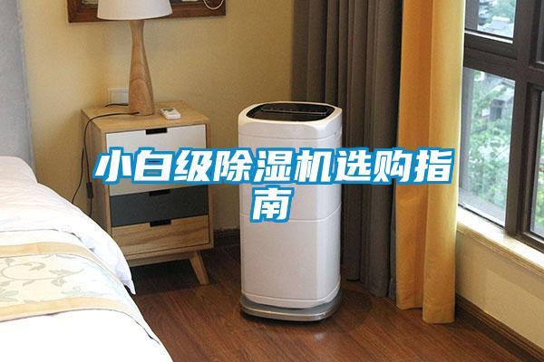 小白級91看片网站视频機選購指南