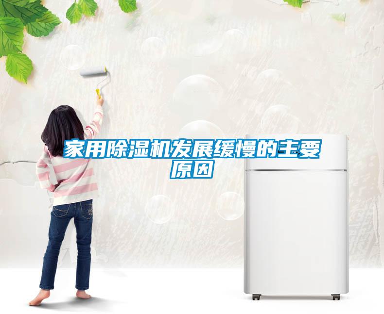 家用91看片网站视频機發展緩慢的主要原因