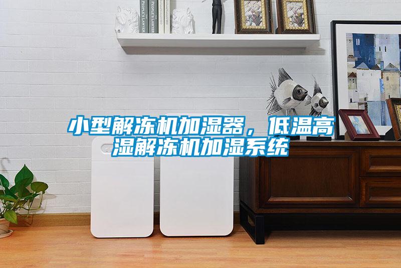小型解凍機加濕器，低溫高濕解凍機加濕係統