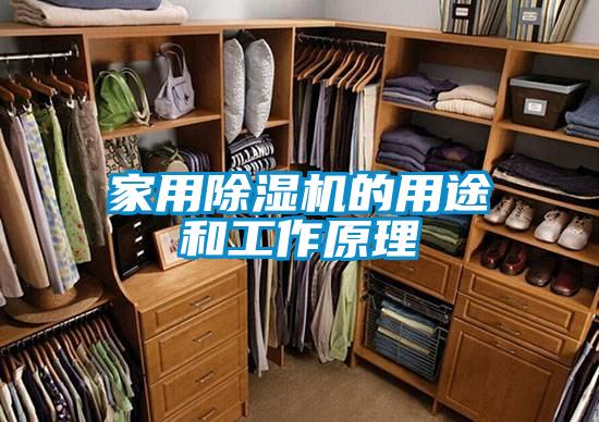 家用91看片网站视频機的用途和工作原理