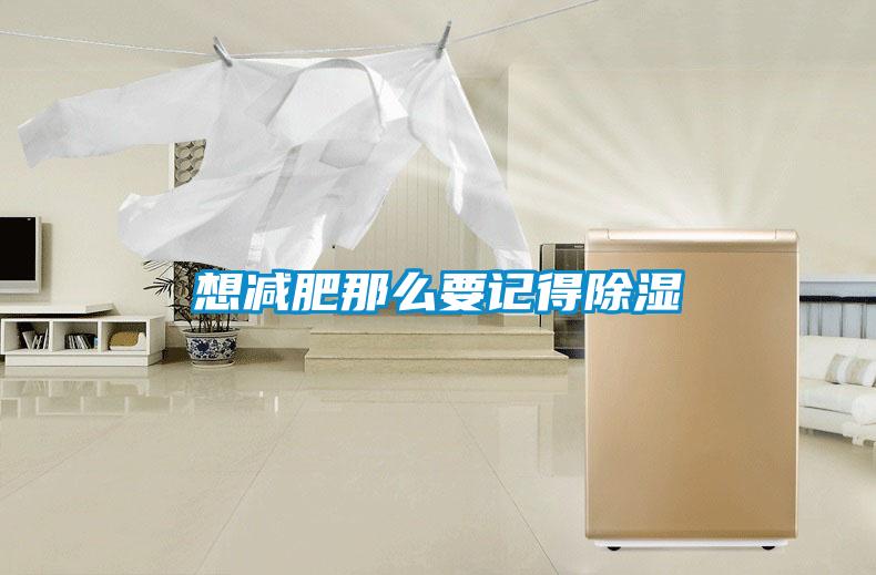 想減肥那麽要記得91看片网站视频