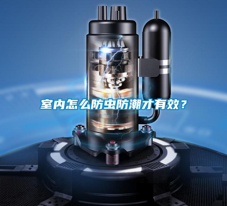 室內怎麽防蟲防潮才有效？