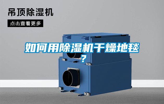 如何用91看片网站视频機幹燥地毯？
