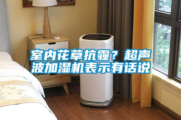 室內花草抗霾？超聲波加濕機表示有話說