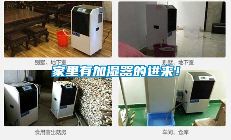 家裏有加濕器的進來！