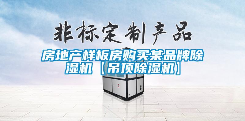 房地產樣板房購買某品牌91看片网站视频機【吊頂91看片网站视频機】