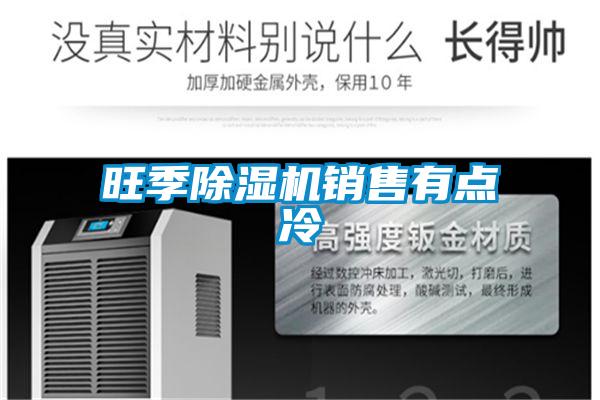 旺季91看片网站视频機銷售有點冷