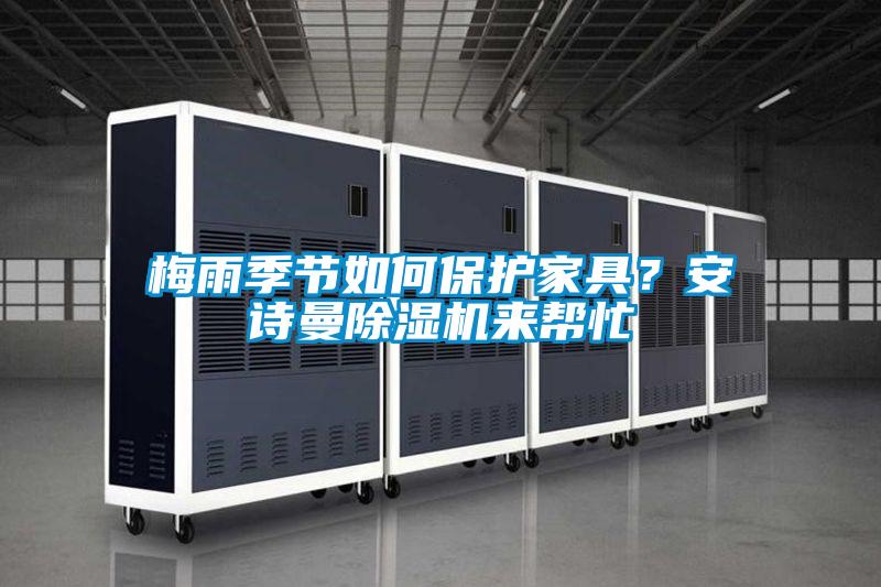 梅雨季節如何保護家具？在线看片网址91看片网站视频機來幫忙