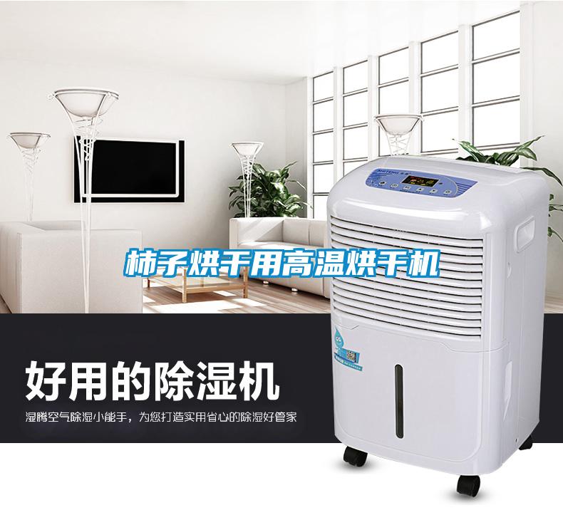 柿子烘幹用高溫烘幹機