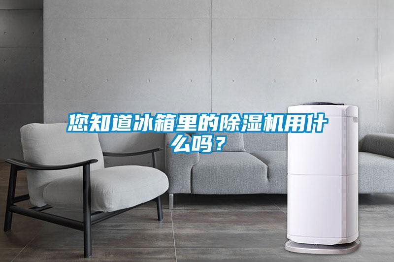 您知道冰箱裏的91看片网站视频機用什麽嗎？