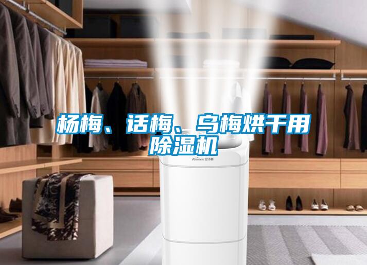 楊梅、話梅、烏梅烘幹用91看片网站视频機