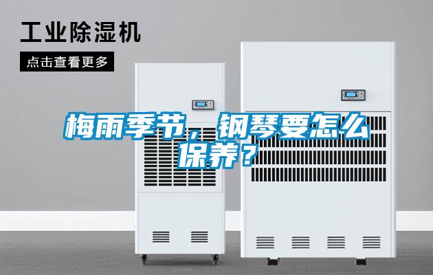 梅雨季節，鋼琴要怎麽保養？