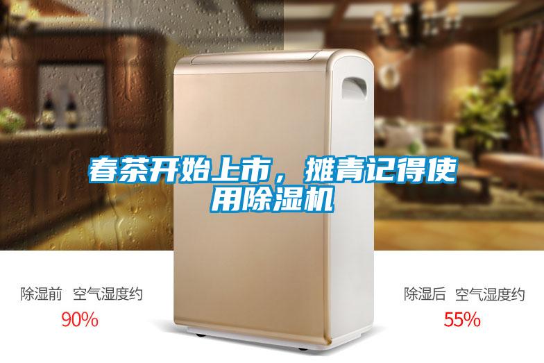 春茶開始上市，攤青記得使用91看片网站视频機