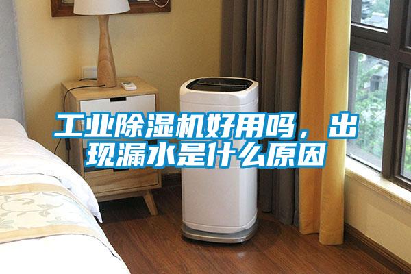 工業91看片网站视频機好用嗎，出現漏水是什麽原因