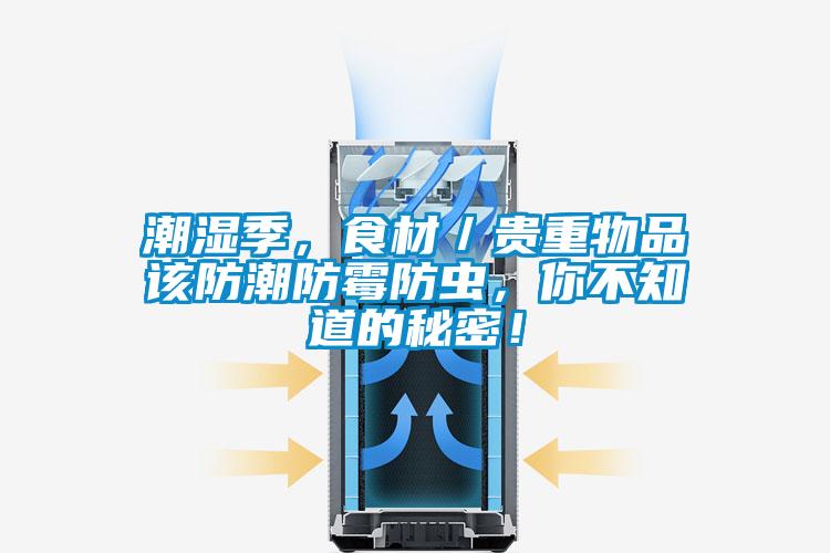 潮濕季，食材／貴重物品該防潮防黴防蟲，你不知道的秘密！