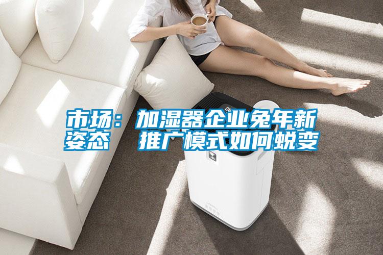 市場：加濕器企業兔年新姿態  推廣模式如何蛻變