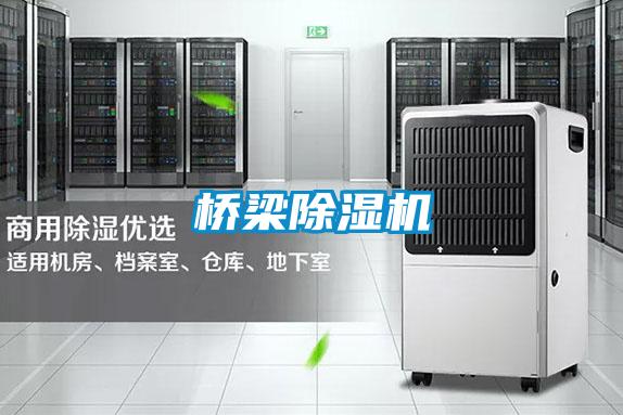 橋梁91看片网站视频機