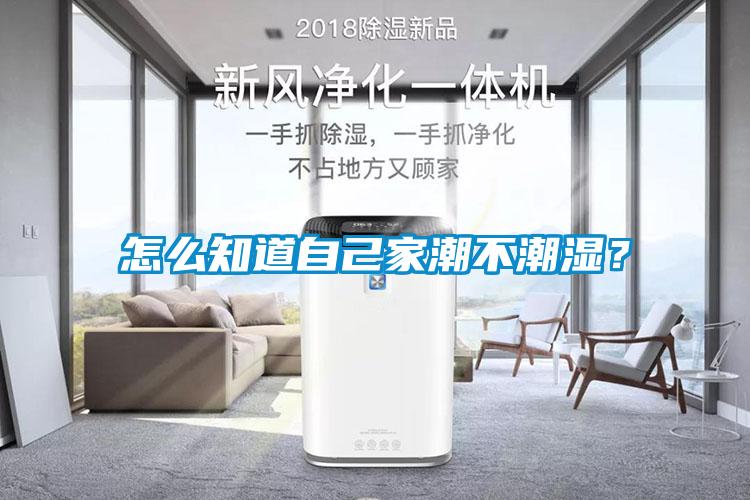 怎麽知道自己家潮不潮濕？