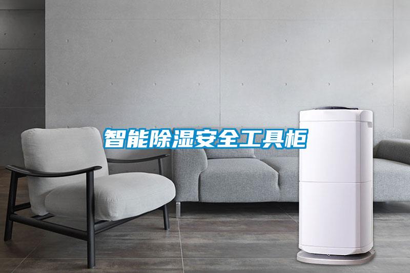 智能91看片网站视频安全工具櫃
