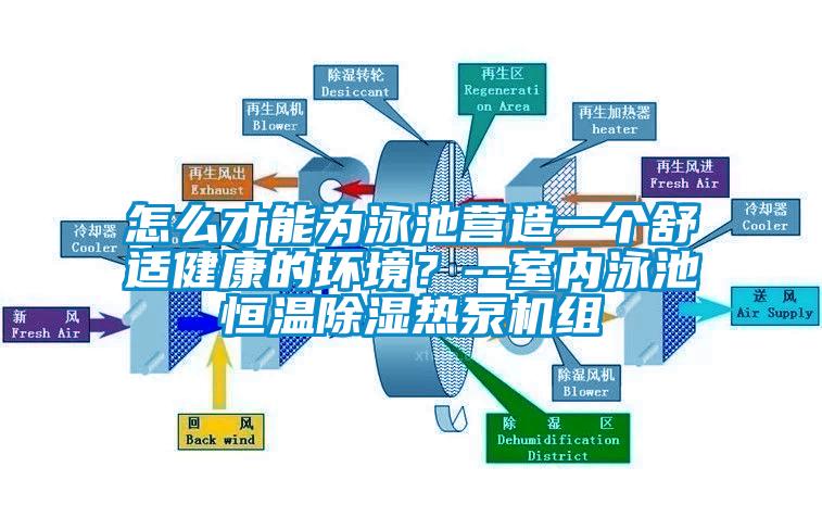 怎麽才能為泳池營造一個舒適健康的環境?--室內泳池恒溫91看片网站视频熱泵機組