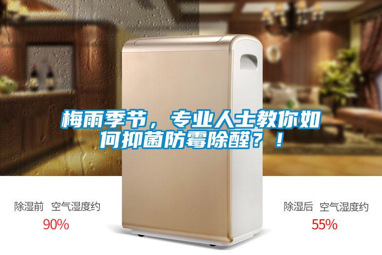 梅雨季節，專業人士教你如何抑菌防黴除醛？！