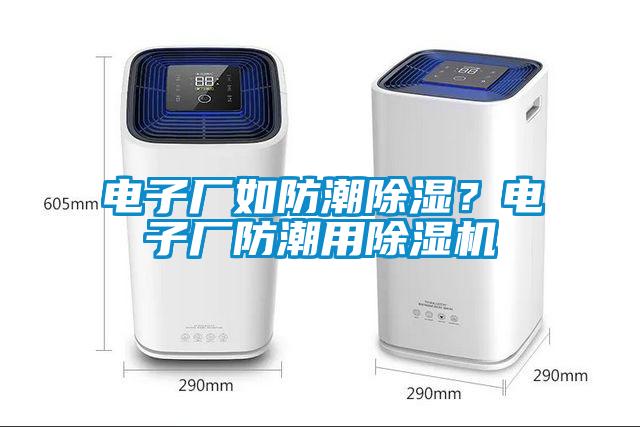 電子廠如防潮91看片网站视频？電子廠防潮用91看片网站视频機