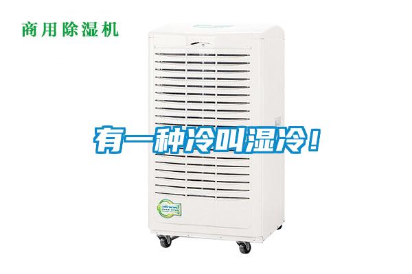 有一種冷叫濕冷！