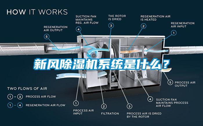 新風91看片网站视频機係統是什麽？