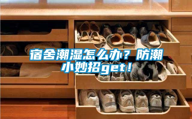 宿舍潮濕怎麽辦？防潮小妙招get！