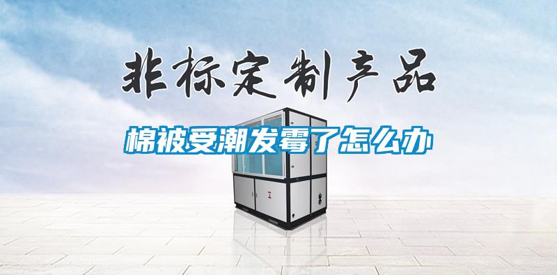 棉被受潮發黴了怎麽辦