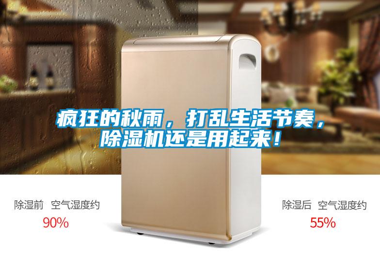 瘋狂的秋雨，打亂生活節奏，91看片网站视频機還是用起來！
