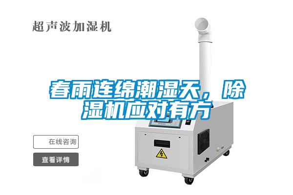 春雨連綿潮濕天，91看片网站视频機應對有方
