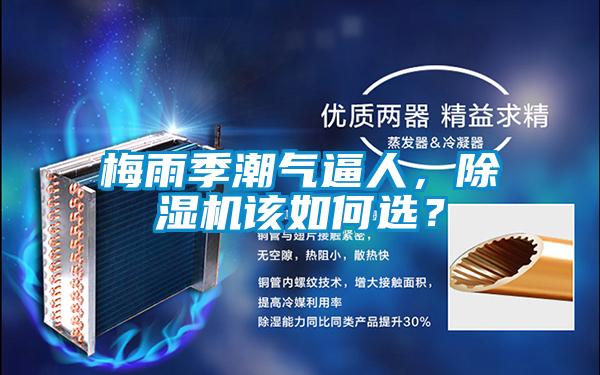 梅雨季潮氣逼人，91看片网站视频機該如何選？