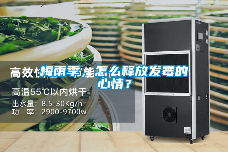 梅雨季，怎麽釋放發黴的心情？