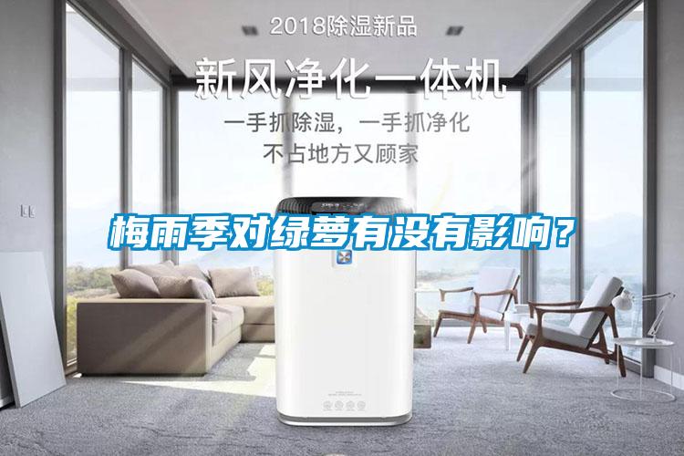 梅雨季對綠蘿有沒有影響？