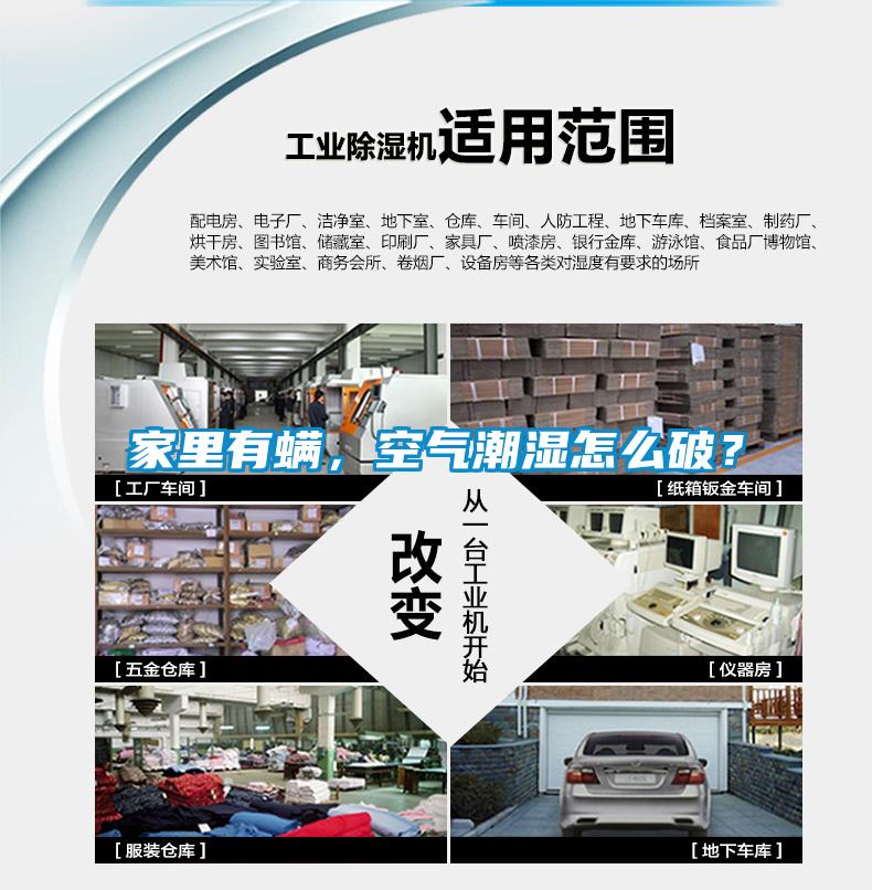 家裏有蟎，空氣潮濕怎麽破？