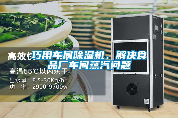 巧用車間91看片网站视频機，解決食品廠車間蒸汽問題
