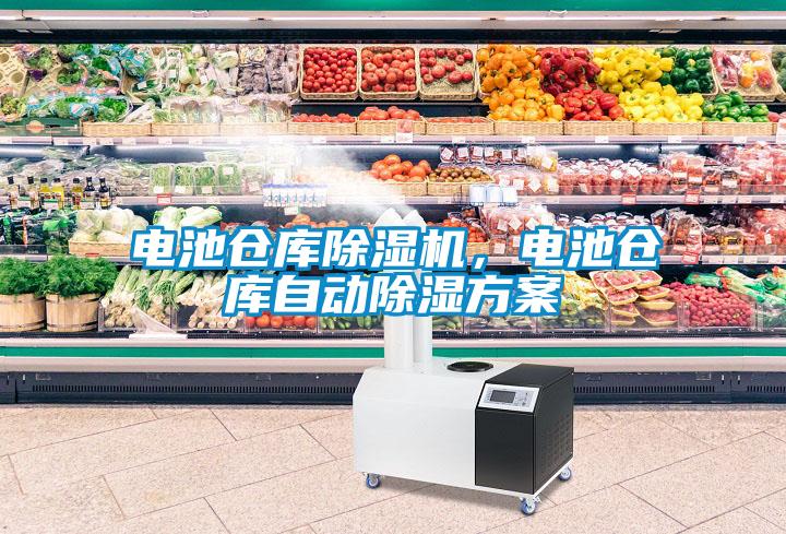 電池倉庫91看片网站视频機，電池倉庫自動91看片网站视频看片网站入口
