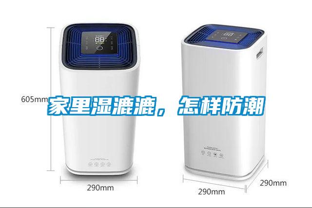 家裏濕漉漉，怎樣防潮