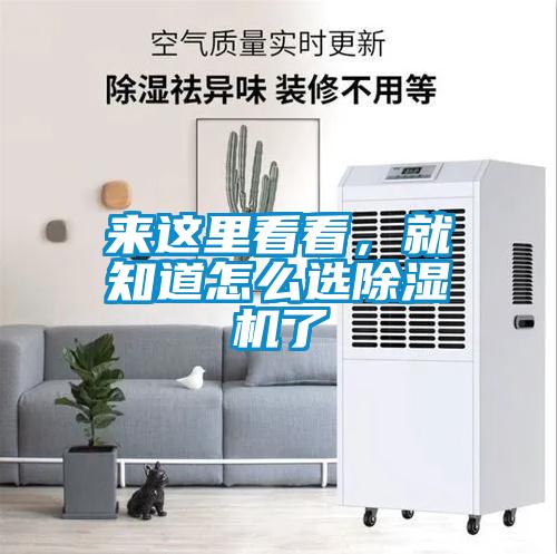 來這裏看看，就知道怎麽選91看片网站视频機了