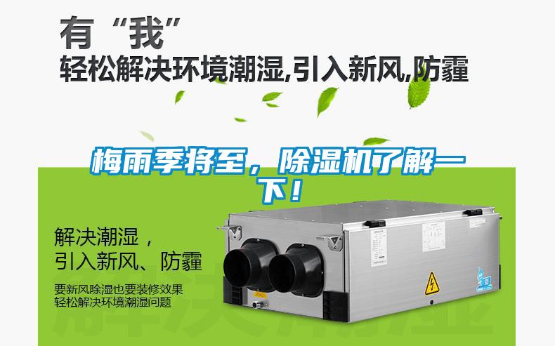 梅雨季將至，91看片网站视频機了解一下！