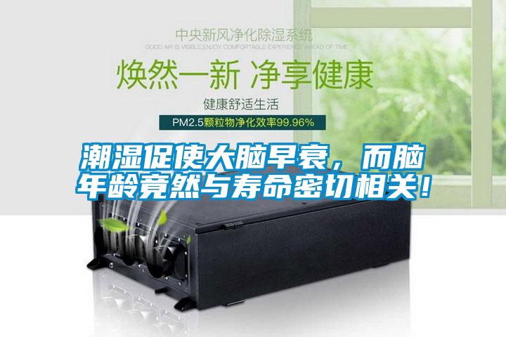 潮濕促使大腦早衰，而腦年齡竟然與壽命密切相關！
