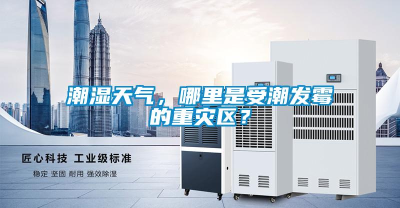 潮濕天氣，哪裏是受潮發黴的重災區？